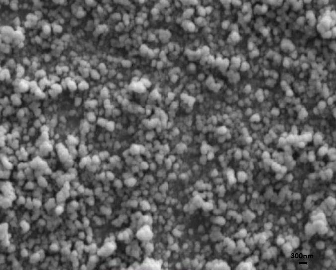 sem-–-srco3-nanopowder-img