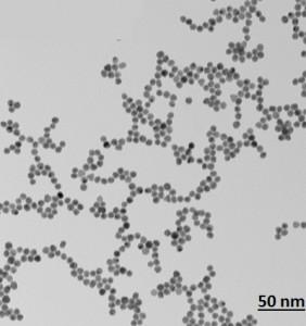 tem---gold-nanoparticles-img