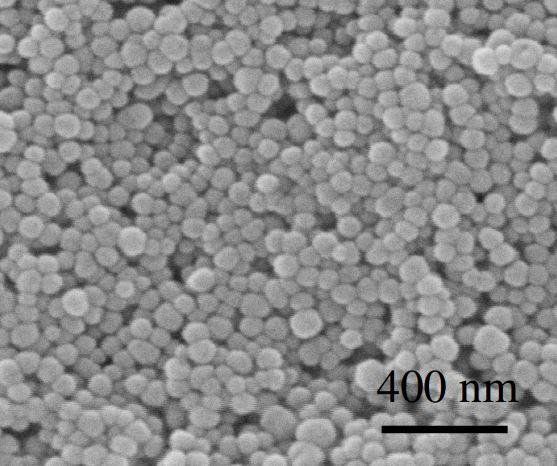 sem---batio3-nanoparticles-img