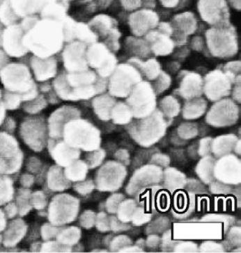 sem---barium-titanate-img