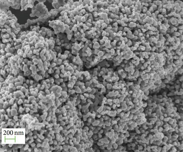 sem---cobalt-ferrite-img