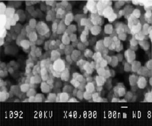 sem---ceo2-nanoparticles-img