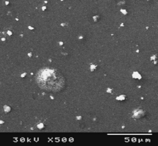 sem-–-palladium-powder-img