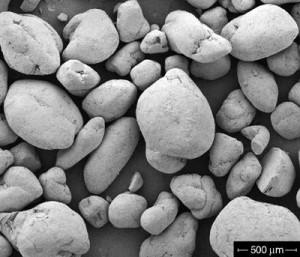 sem-analysis-of-boric-acid-powder-img