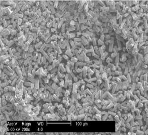 sem-analysis-of-lithium-aluminate-powder-img