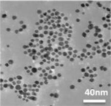 gold-chloride-nanoparticles-img
