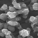 sem-analysis-of-lanthanum-chloride-powder-img