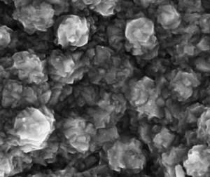 sem-analysis-of-magnesium-chloride-img