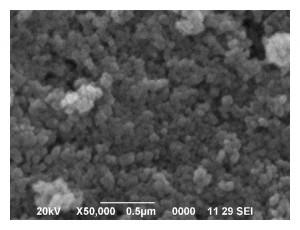 sem-analysis-of-silver-chloride-img