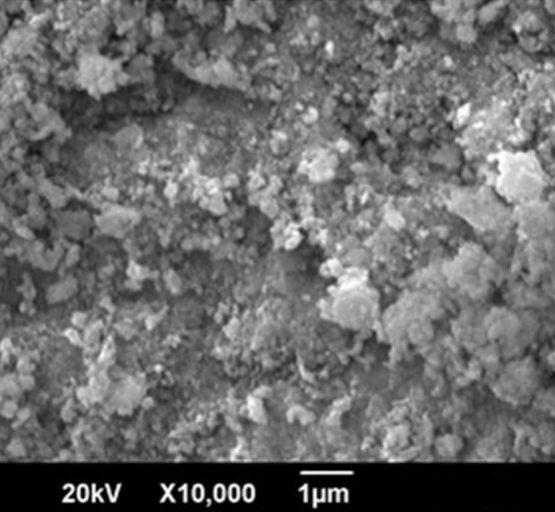 sem-–-er2o3-powder-img