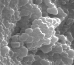 sem-of-calcium-fluoride-nanopowder-img