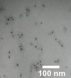 sem-analysis-of-cobalt-sulphide-nanoparticles-img