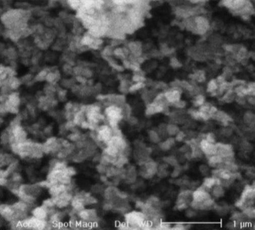 sem---calcium-hydroxide-powder-img