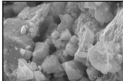 sem-analysis-of-doxorubicin-hydrochloride-img