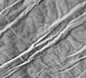 sem-analysis-of-high-density-chitosan-img