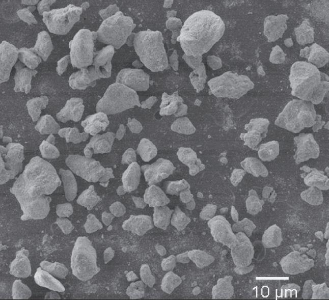 sem-–-zrc-micro-powder-img