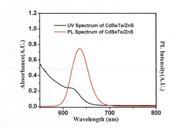 pl-emission-cdsete-zns-quantum-dots-img