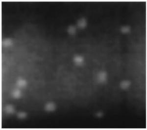 tem---pbse-quantum-dots-img