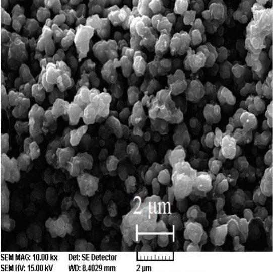 sem---cobalt-oxide-powder-img
