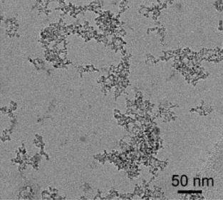 sem---diamond-nanoparticles-img