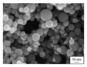 sem---nanosilver-particles-img