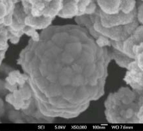 sem---stannous-oxide-nanoparticles-img