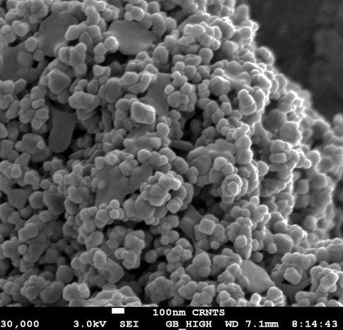 sem---tio2-nanoparticles-img