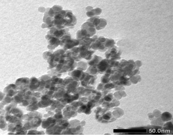 sem---nickel-iron-oxide-img