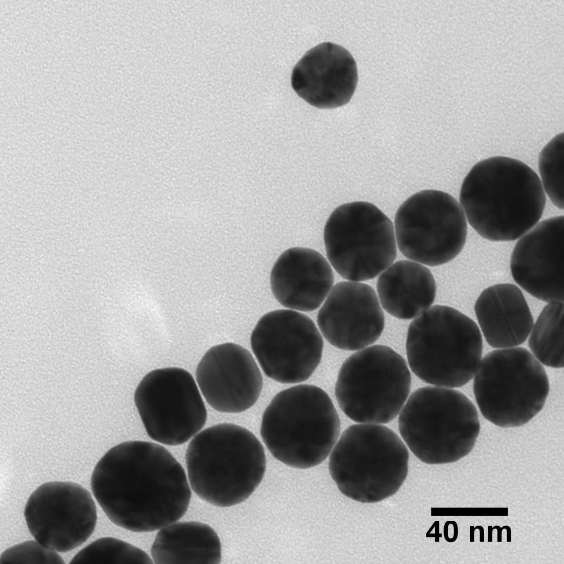 tem---gold-nanospheres-img