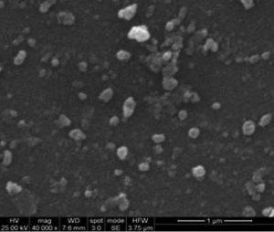 sem---aluminium-hydroxide-nanoparticles-img