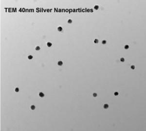 tem---biotin-silver-nanoparticles-img