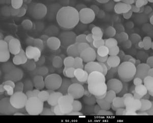 sem---cadmium-nanoparticles-img