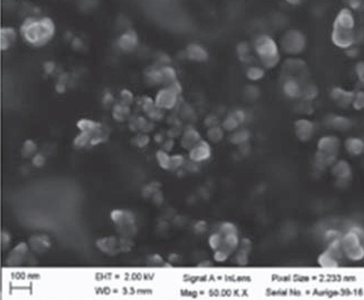 sem---cds-nanopaticles-img