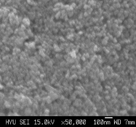sem---cdse-nanoparticles-img