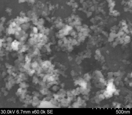 sem---cdte-nanoparticles-img