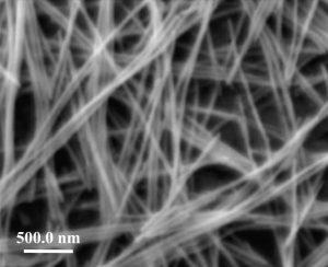sem---cobalt-nanowires-img