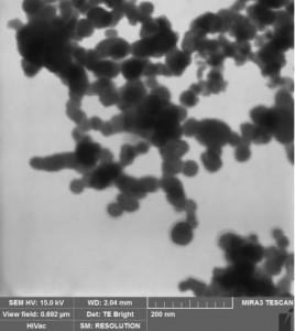 sem---iron-nanoparticles--img