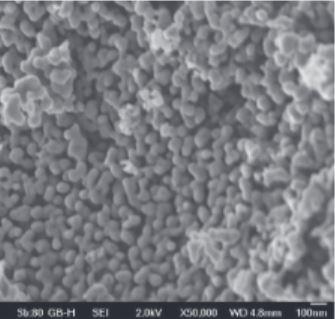 sem---lanthanum-strontium-magnetite--img