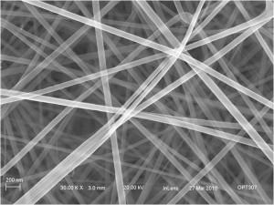sem---lead-nanowires-img