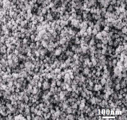 sem---pbs-nanoparticles-img