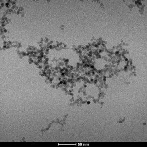 sem---magnetite-nanoparticles-img