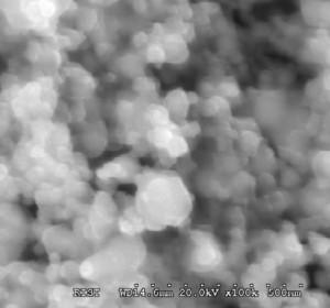 sem---molybdenum-nanopowder-img