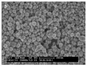 sem---nano-copper-powder-img