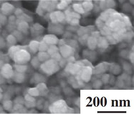 sem-–-nic-nanoparticles-img