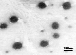 tem---sodium-nanoparticles-img