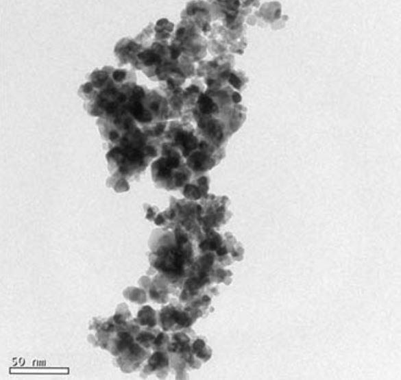 sem---tin-oxide-nanopowder-img
