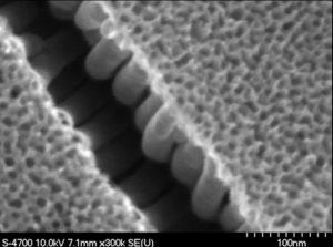 sem---titanium-oxide-nanotubes-img