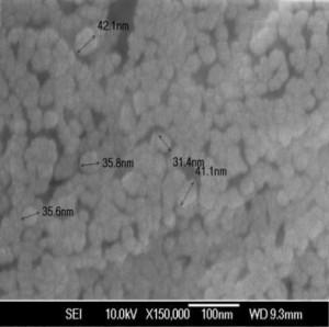 sem---zinc-nanoparticles--img