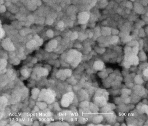 sem---zns-nanoparticles-img